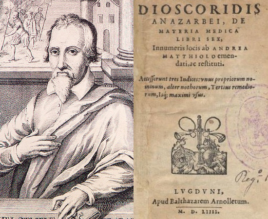 CIRCULAÇÃO PULMONAR (1553) - Michael Servetus foi um cientista e médico do Renascimento que descreveu, pela primeira vez, que o sangue bombeado aos pulmões retorna rico em oxigênio para o coração. Os estudos foram amplamente criticados na época, e permaneceram desconhecidos até as dissecações feitas poer William Harvey.