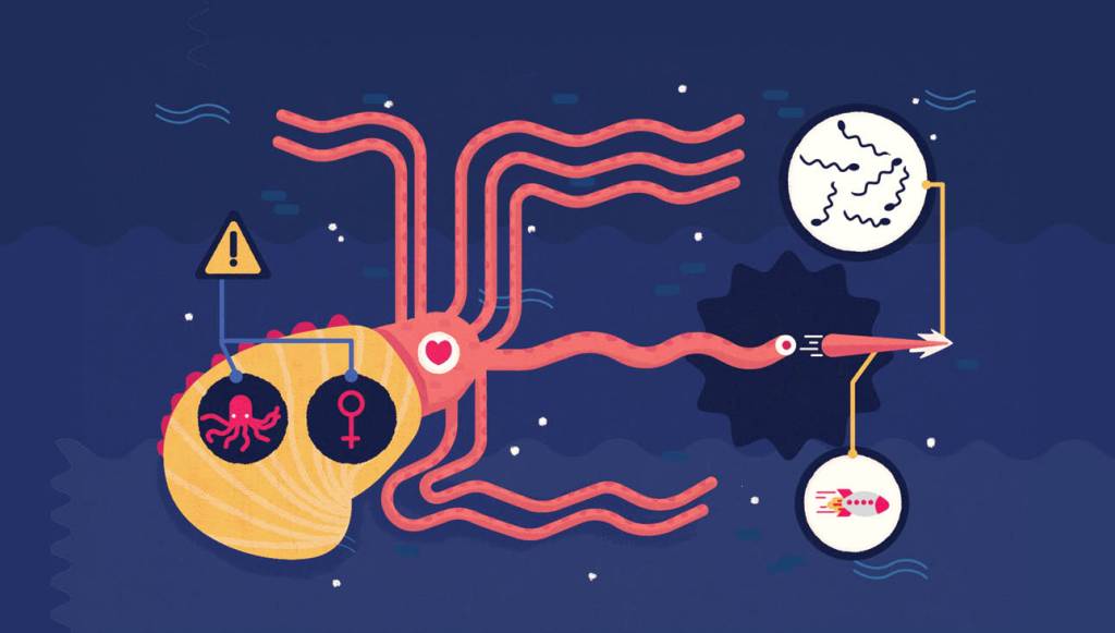 Conheça o tarado sexo submarino