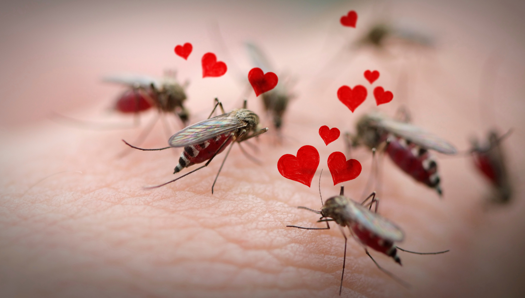 O que os mosquitos mais amam em você? | Super