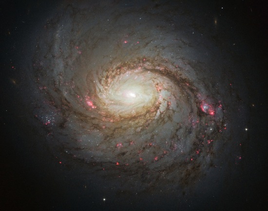 A galáxia M77 está a 47 milhões de anos-luz da Terra e possui 100 anos-luz de diâmetro. Seu núcleo compacto e brilhante é muito estudado pelos astrônomos que exploram os mistérios dos buracos negros supermassivos.