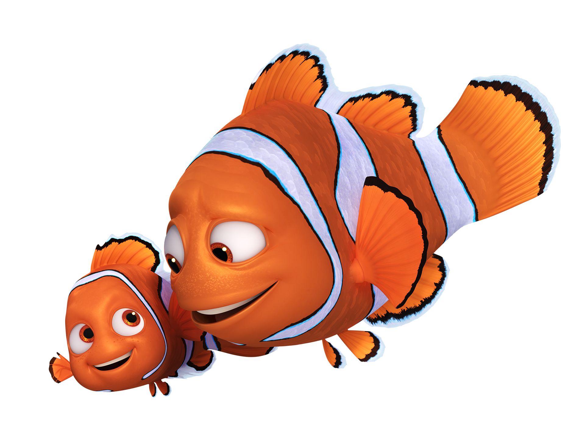 7 Coisas Que Ja Sabemos Sobre Procurando Dory E Que Vao Aumentar Ainda Mais A Sua Curiosidade Sobre O Filme Super