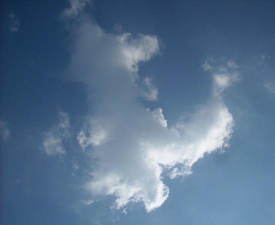 Esta nuvem que parece o Pateta foi fotografada em Genk, na Bélgica.