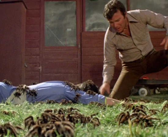 No filme O Império das Aranhas (1977), o personagem de William Shatner (sim, o capitão Kirk!) é um veterinário que relaciona a morte de animais aos ataques de aranhas assassinas. No filme O Império das Aranhas (1977), o personagem de William Shatner (sim, o capitão Kirk!) é um veterinário que relaciona a morte de animais aos ataques de aranhas assassinas.