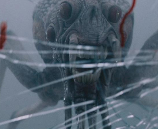 No filme O Nevoeiro (2007), um grupo de pessoas fica preso em um supermercado que é cercado por uma densa neblina. Em certo momento aparecem aranhas gigantes que lançam teias ácidas.