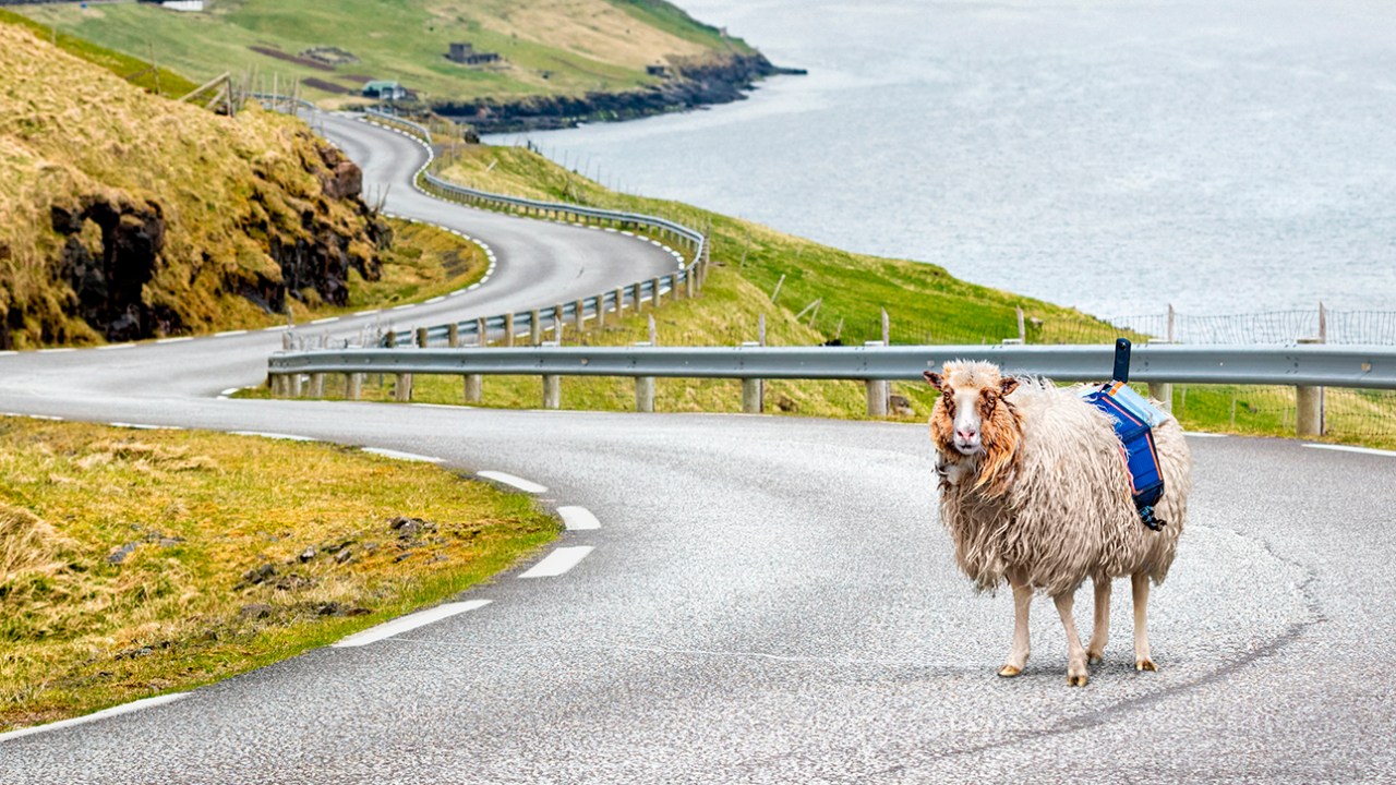 Divulgação | Visit Faroe Islands