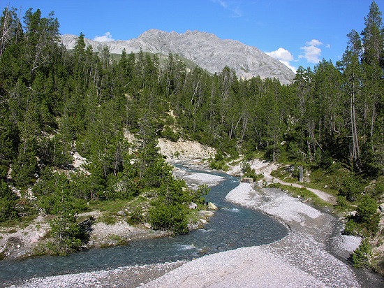 Criado em 1914, o Parque Nacional da Suíça fica na fronteira com a Itália. Quem visita o local encontra como cenários montanhas e florestas incríveis.