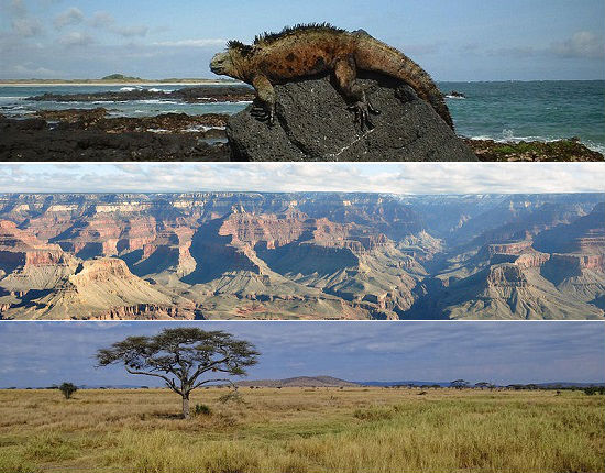 Parques Nacionais são áreas de preservação ambiental que pertencem a um Estado. Mais do que isso, conhecê-los é uma ótima maneira para você aprender mais sobre a natureza, fazer ecoturismo e conhecer mais da biodiversidade de um país ou região. Existem diversos parques nacionais interessantes mundo afora, conheça alguns deles nessa seleção da SUPER. Parques Nacionais são áreas de preservação ambiental que pertencem a um Estado. Mais do que isso, conhecê-los é uma ótima maneira para você aprender mais sobre a natureza, fazer ecoturismo e conhecer mais da biodiversidade de um país ou região. Existem diversos parques nacionais interessantes mundo afora, conheça alguns deles nessa seleção da SUPER.