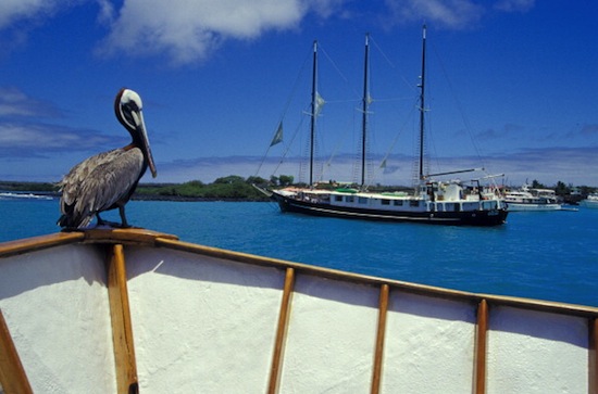 Patrick Watikins, rei das Ilhas Galápagos