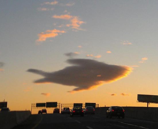 Uma nuvem com o formato de peixe no céu de Nova Jérsei, nos EUA.