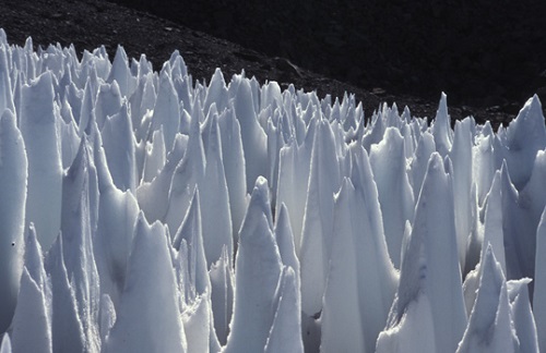 A foto mostra um tipo de formação de neve que ocorre em grandes altitudes. A primeira descrição científica desse fenômeno foi feita por Charles Darwin, em 1839. A foto mostra um tipo de formação de neve que ocorre em grandes altitudes. A primeira descrição científica desse fenômeno foi feita por Charles Darwin, em 1839.