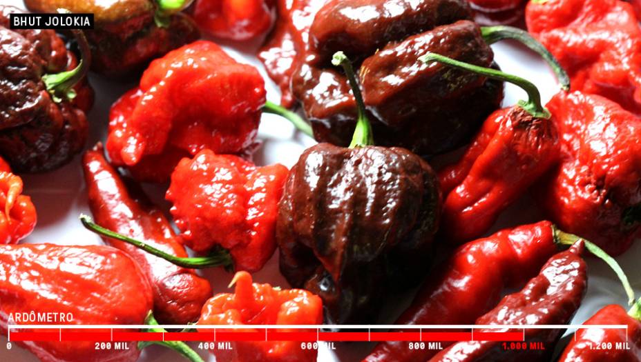 <span style="line-height:1.6">2. Bhut Jolokia - 1 milhão SHU</span><br />