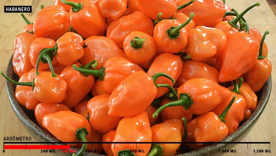 3. Habanero - 300 mil SHU<br /> 3. Habanero - 300 mil SHU<br />