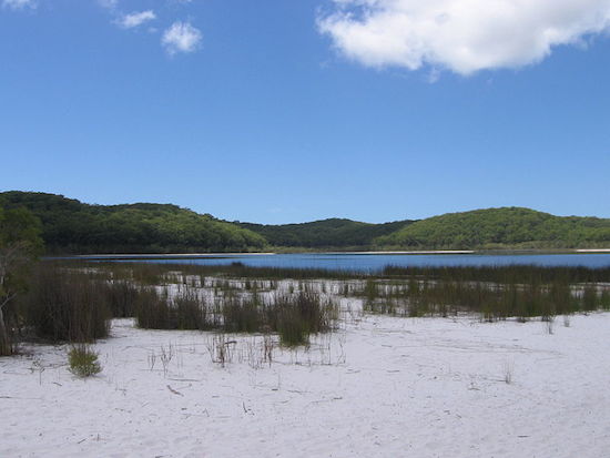 Onde: Queesland, Austrália Onde: Queesland, Austrália