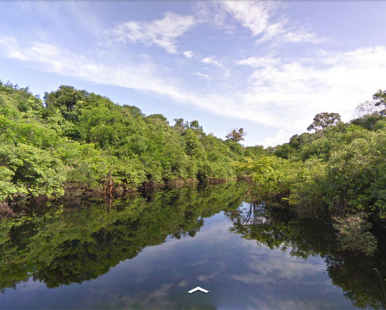 Rio Negro e afluentes, na bacia Amazônica. Clique em Leia Mais para visitar o local pelo Google Street View.