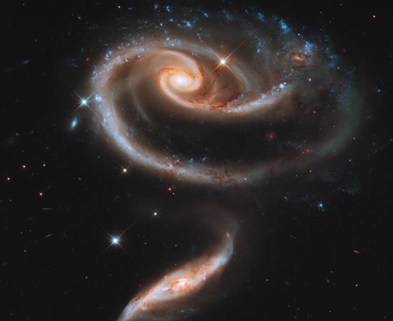 Rosa formada por várias galáxias. Rosa formada por várias galáxias.