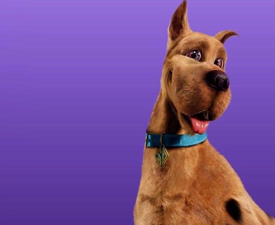 Scooby-Doo investiga crimes sobrenaturais desde 1969. É claro que ele conta com a ajuda dos amigos Salsicha, Daphne, Fred e Velma. Scooby-Doo investiga crimes sobrenaturais desde 1969. É claro que ele conta com a ajuda dos amigos Salsicha, Daphne, Fred e Velma.
