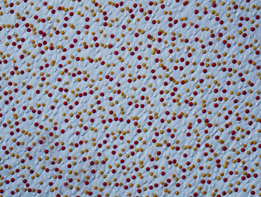 A imagem que mostra a retina de uma tartaruga ficou com o segundo lugar do concurso. A autor da foto é um pesquisador dos Estados Unidos.