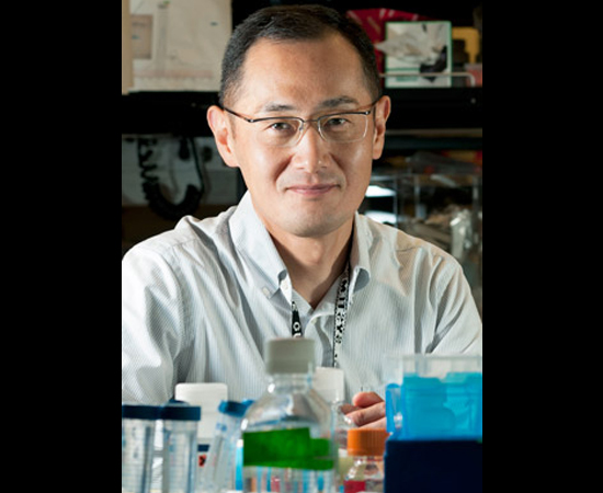 SHINYA YAMANAKA - Médico japonês, presidente da Sociedade Internacional de Pesquisa sobre Células Tronco (ISSCR). Recebeu o Prêmio Nobel de Medicina de 2012 por ter descoberto que células maduras podem ser reprogramadas de modo a tornarem-se pluripotentes. SHINYA YAMANAKA - Médico japonês, presidente da Sociedade Internacional de Pesquisa sobre Células Tronco (ISSCR). Recebeu o Prêmio Nobel de Medicina de 2012 por ter descoberto que células maduras podem ser reprogramadas de modo a tornarem-se pluripotentes.