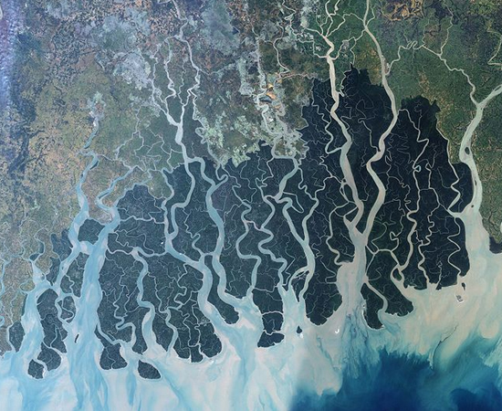 Não tenha preconceitos! O Ganges é um dos rios mais poluídos do mundo, mas seu delta continua sendo um grande santuário de espécies. Esta região de manguezal, chamada de Sundarbans, tem 140 mil hectares e abriga mais de 260 espécies, incluindo o tigre de Bengala, o píton indiano e o crocodilo do estuário. Uma boa opção para quem sonha em viver uma aventura na selva.