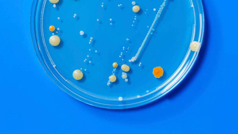 BIOTECNOLOGIA