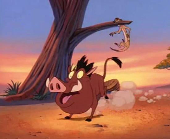 Timão e Pumba (1995) é um desenho animado sobre um javali e um suricate que aprontam várias confusões na floresta.