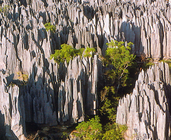 Esta não é uma continuação da floresta de pedra chinesa. Na verdade, é uma reserva ambiental específica do oeste da ilha de Madagascar! Lá podem ser encontradas espécies raras de lêmures e pássaros. A área conhecida como ‘Tsigy de Bemaraha’ tem 1500 km². Os picos chegam até 100 metros de altura.