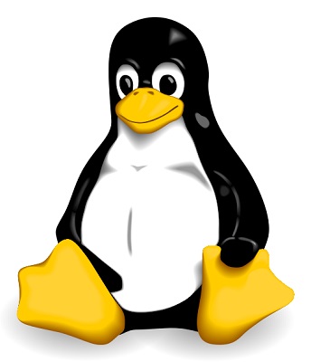 LINUX - O símbolo da marca é assim porque o criador do software achou uma foto de pinguim na internet.