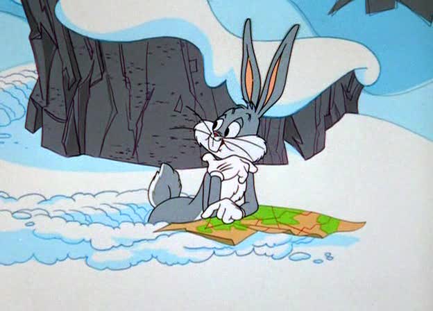 Coelhos estão comendo plantas tóxicas para viver na neve