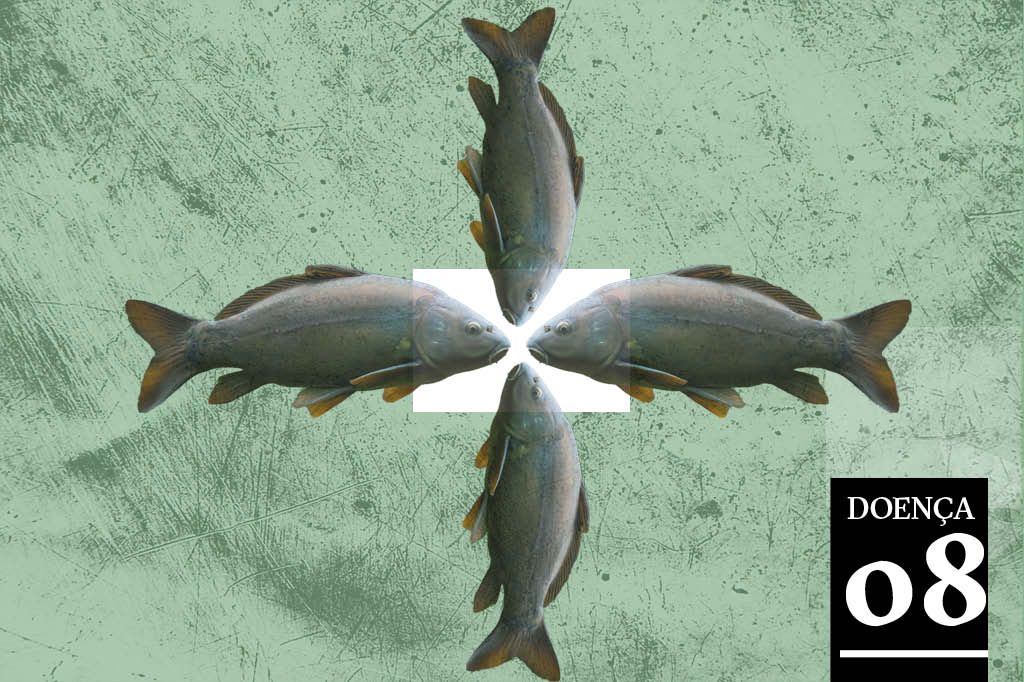 As pessoas que têm cheiro de peixe