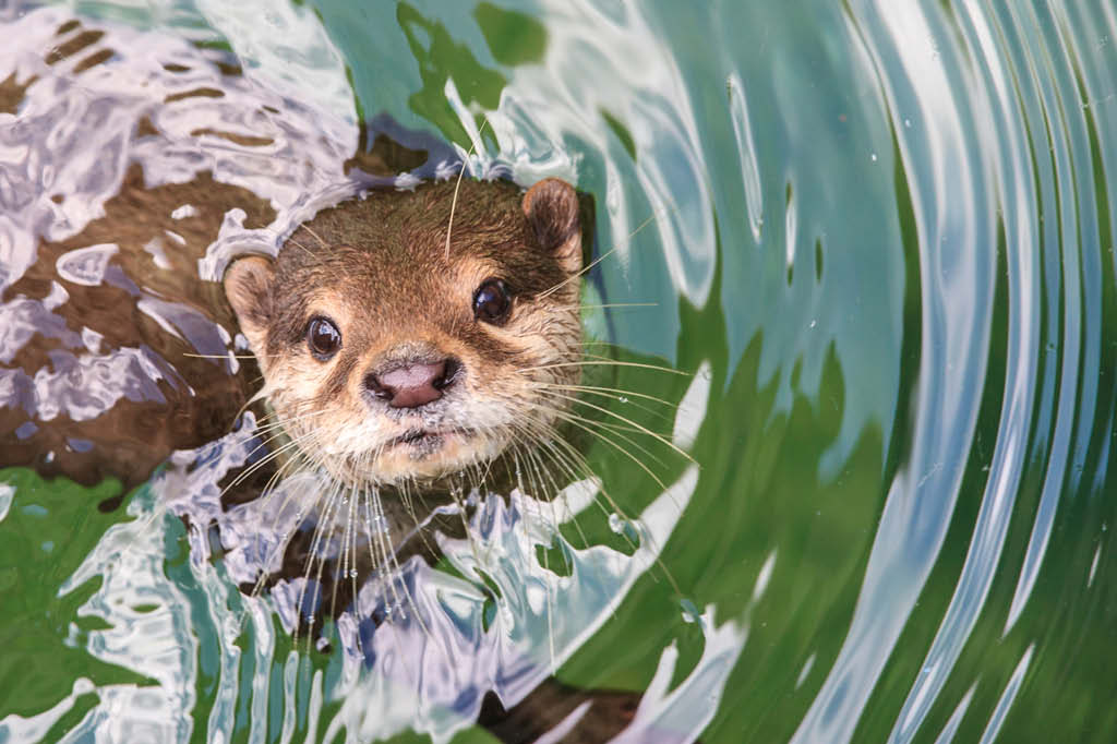 Mortos pela embalagem