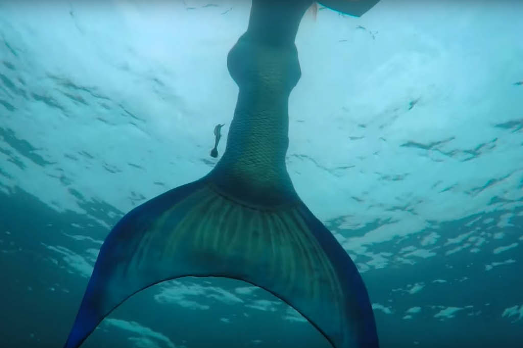 O duro (e lucrativo) trabalho das sereias profissionais