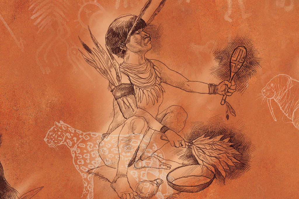 Xamanismo: sul-americano