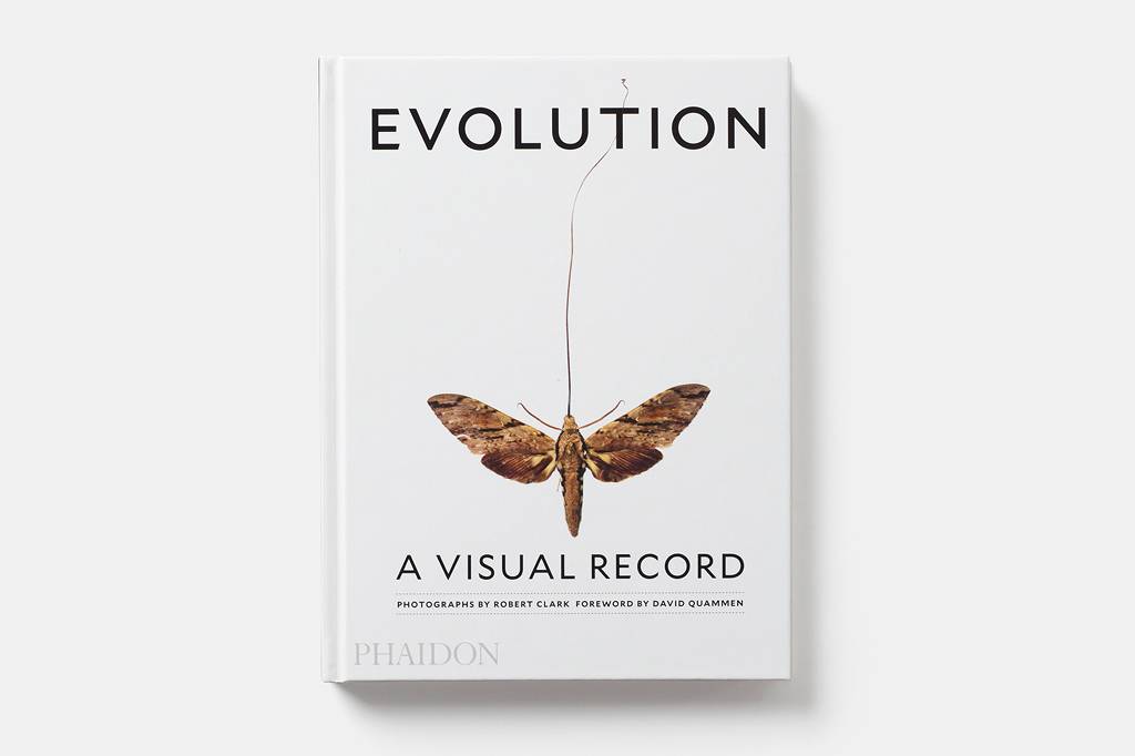 Livro&nbsp;<a href="https://www.phaidon.com/store/general-non-fiction/evolution-a-visual-record-9780714871189/" target="_blank">Evolution: a Visual Record</a>(2016), de Robert Clark - ainda sem t&iacute;tulo em portugu&ecirc;s
