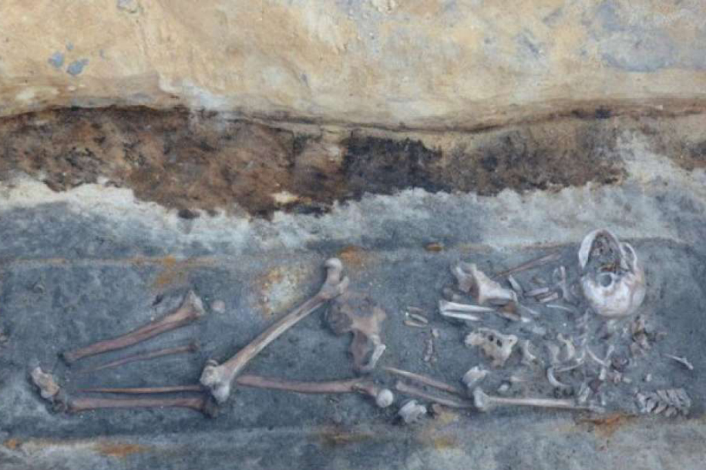 Um dos esqueletos encontrados na Polônia: sinais de que uma estaca foi enfiada no peito do cadáver