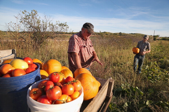 Uninsured Family Of Farmers Plans To Opt Out Of Affordable Health Care Act