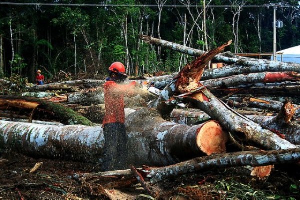 brasil-deve-atingir-meta-reducao-desmatamento-antes-2020