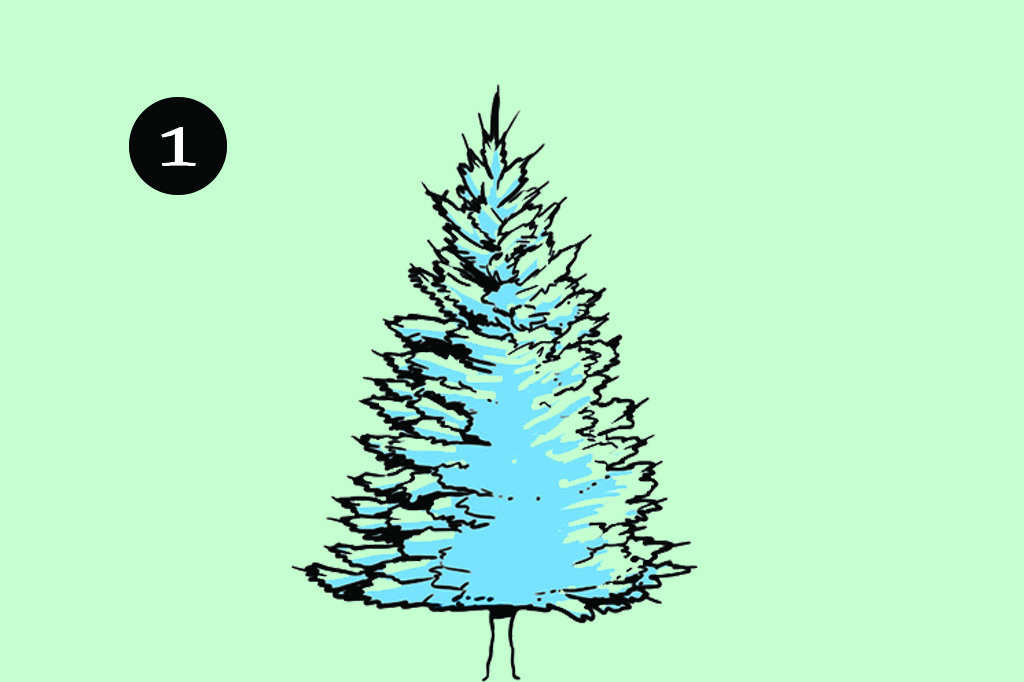 Como montar a árvore de Natal perfeita? | Super Como montar a árvore de Natal perfeita? | Super