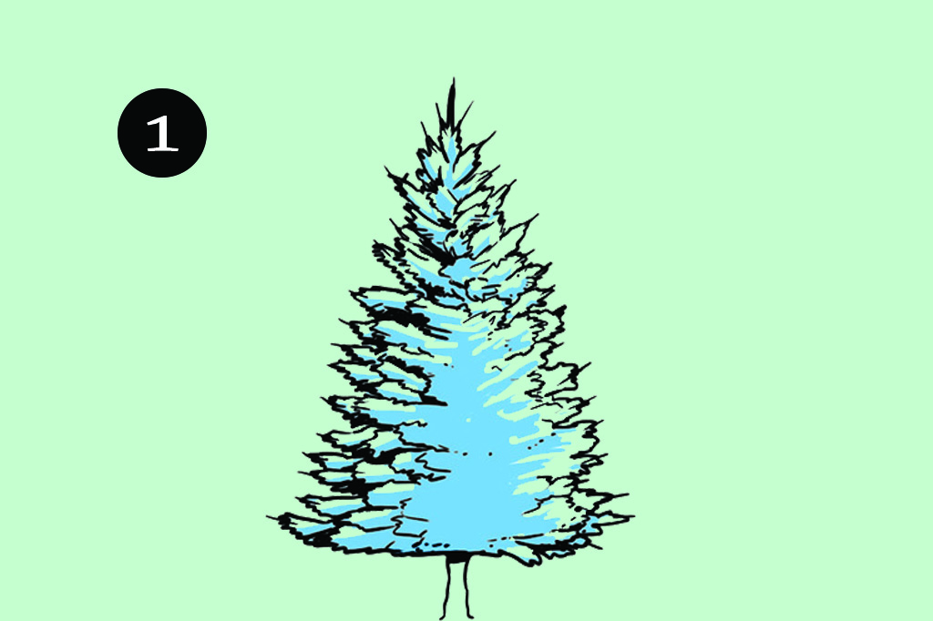 Como montar a árvore de Natal perfeita: Escolha a árvore