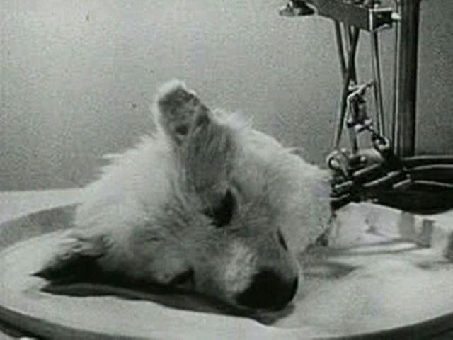 experiment1940