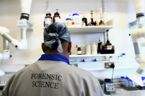 forensic-1
