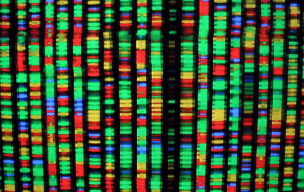 Genomic Workshop
