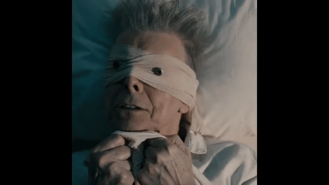 Gif Bowie Gif Bowie