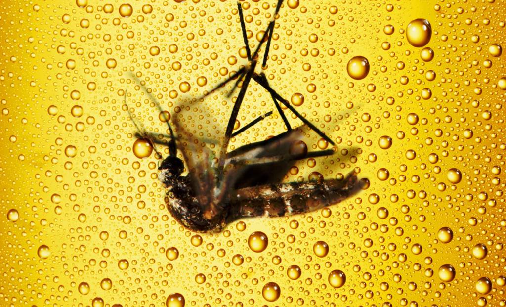 home_cerveja_istock_montagem