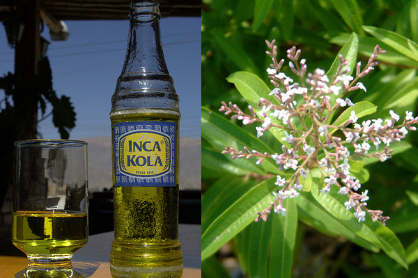 inca-kola