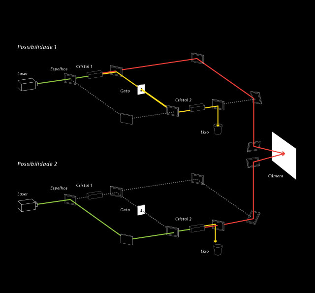 info_nova