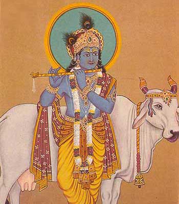 krishna-s