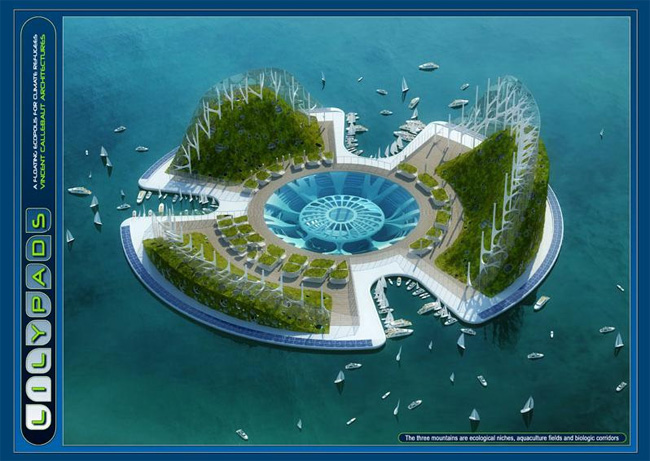 lilypad-post-super-650