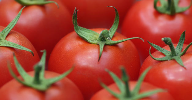 lista-tomate