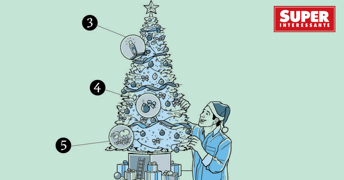 Como montar a árvore de Natal perfeita? | Super