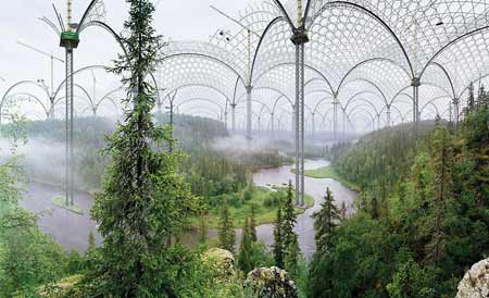 museufloresta2_postsuper